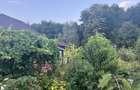 . Casa renovata complet, gradina, padure si aer curat Arges - 5