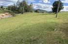Parcele de 800 mp extravilan Marisel 25/mp - 8
