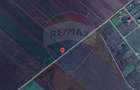 Teren 30.000 MP | Hălchiu |  Jud. Brasov - 4