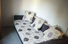Apartament 2 camere Cantemir fara risc, renovat, mobilat, utilat - 3