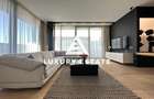 Inchiriere penthouse mobilat- Herastrau- Baneasa- design unic-view spectaculos - 2