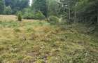 Teren extravilan in comuna Musatesti, sat Valea lui Ma? , jud Arges - 4