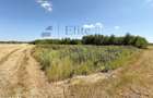 Teren intravilan 1114 mp Sanmartin - 5