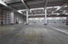 Spatiu Industrial - 5000 mp - Logistica - Depozitare - Distributie - 18