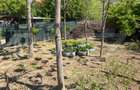 Casa P+1, 900 mp teren, zona Catargiu