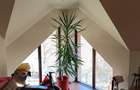 Casa cu 4 camere ?i mansarda, 135.000 EUR - 5