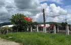 Casă cu 2 camere cu Teren 1400 Mp în Șieu