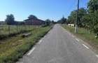 Vand loc de casa in Bazosul Vechi de 1000 mp in vatra veche