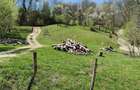 Teren 3.800 mp - Slatina, Nucsoara