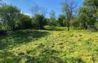 Teren de vanzare in Podgoria, 2675 mp - 2