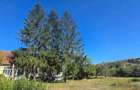 Casa de vanzare cu teren de 2300 mp - poalele dealului, langa The Village - 6