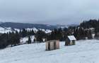 Teren extravilan de vanzare in Bucovina Breaza zona Paraul Negrei - 11