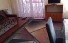 Persona fizica Dau in chirie - 4