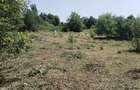 Teren de vanzare com. Aiton - 3