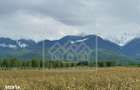Teren intravilan de vanzare in Arpasu de Sus, 2000 mp, vedere spre mun - 3