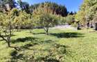 Casă în Vatra Dornei, zona Argestru, cu 11.541m.p. TEREN INTRAVILAN - 10