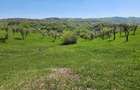 Vand teren 16000 mp intravilan/extravilan in zona Valenii de Munte jud. Prahova - 2