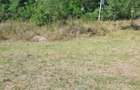 Vand - 2500mp - teren - intravilan - Sat.Robesti, Comuna Parscov, Buzau