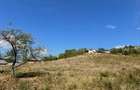 Teren Vulcana Sat 1566 m intravilan Negociabil - 3