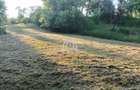 Chidea/Vultureni Cluj teren 4100 mp cu front stradal de 55 m