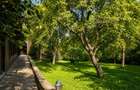 Mountain Chalet | Private Resort | Investment - Nistoresti - 5