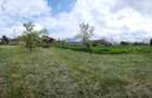 Teren intravilan(curte) 5700mp in sat Cocani,comuna Crevedia - 6