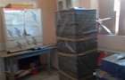 Vand casa boiereasca in Com Afuma?i - 3