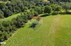 Teren 3,000mp Predelut / Strada Pe Tarina