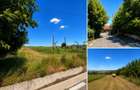 Teren 2.900 mp - 900 mp intravilan Jucu de Sus Panorama Investitie - 6