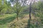 Teren si constructii situate in intravilan 7.780 mp, comuna Bertea, sat Lutu Rosu, Prahova - 2