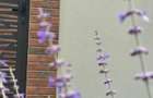 Vile PARK Residence 3 Lumina posibilitate rate - 1