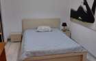 Apartament 2 camere de inchiriat, Podu de Fier, Iasi - 4