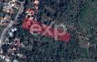 Teren cu Potential Exceptional | 4.300 mp | Zona Exclusiva de Case - 1