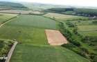 Teren intravilan 2.935 mp in Viile Satu Mare | Aproape de padure - 4