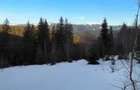 Vand teren intravilan Bucovina Pojorata 15 e/mp - 6