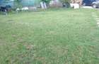 Teren 300 mp de vinzare Snagov aproape de lac. - 1