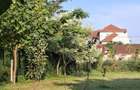 Urziceni, teren casa, zona PREMIUM, 500mp.
