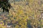 Teren panoramic retras, cu panta lina, utilitati si livada - 3