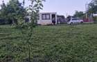 Teren Tomesti-Chicerea Urgent - 12