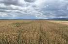 Terenuri intravilan 1500/2300 mp, Zonă în dezvoltare, cu locuințe în apropiere - 5