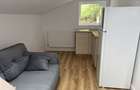 Apartamente noi in vila -regim hotelier - 8