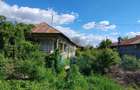 Particular casa teren 2300 mp Tantava Giurgiu - 5