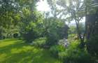Vand teren 0,75 ha in Bazna cu doua case, o casuta, anexe... Ideal pentru camping, Airbnb, pensiune - 1