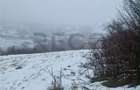 RECO, teren extravilan, Zona Sinteu, Bihor - 5