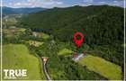 Teren intravilan 2.800 m2 in Campu Cetatii liniste si natura - 3