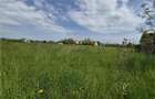 Teren intravilan - Zona Bod - 12