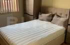 Apartament cu 2 camere, 42 mp, zona Dambovita - 2