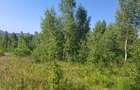 Vand teren langa Ferma Stana Dacilor, 3.5 hectare