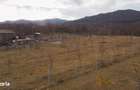 Teren cu suprafa?a de 5100mp amplasat intr-o zona superba de munte - 11