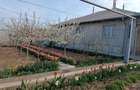 Casă cu 4 camere cu Teren 1000 Mp în Medgidia - 5